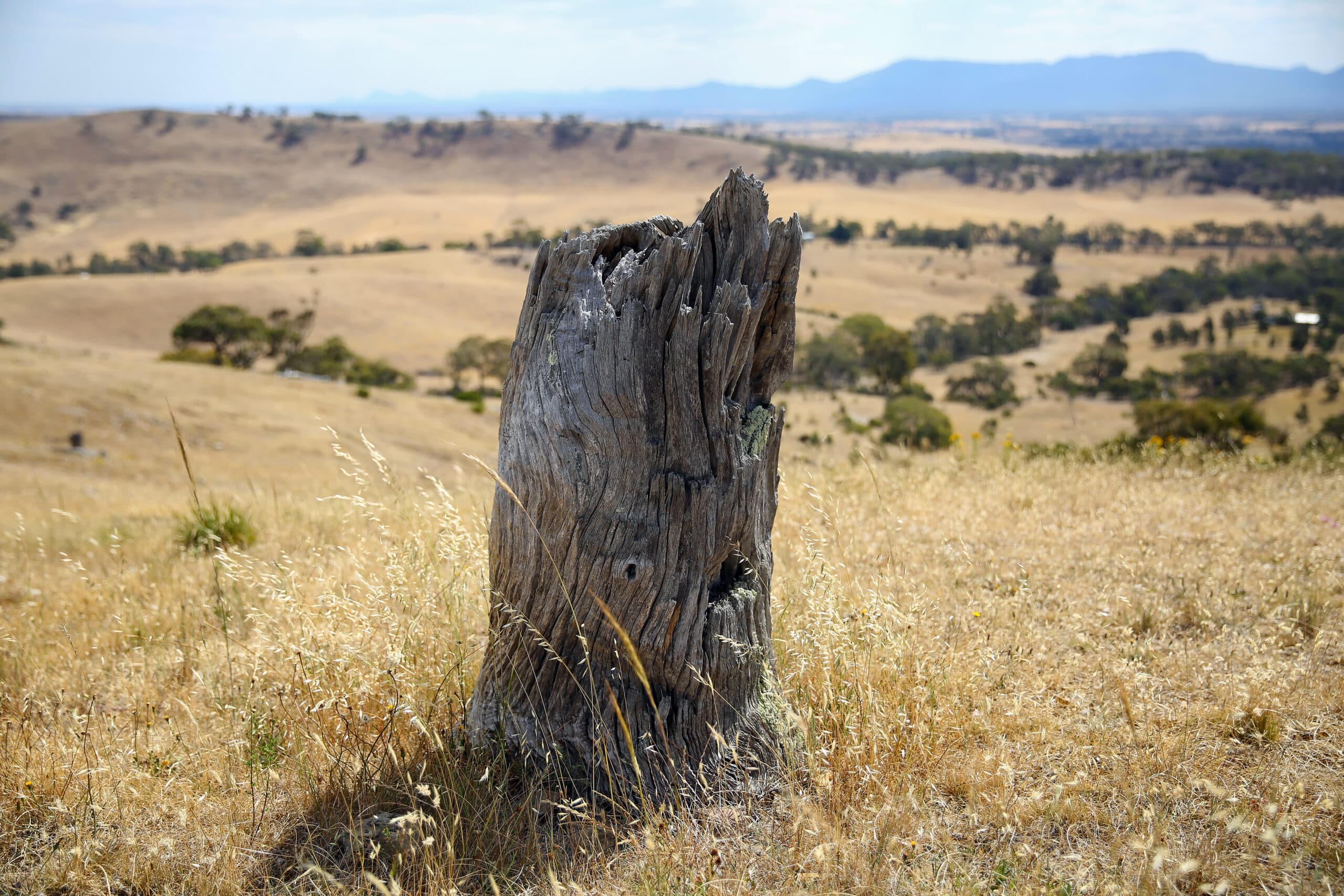 Loddon Mallee region