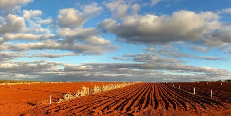 Loddon Mallee region