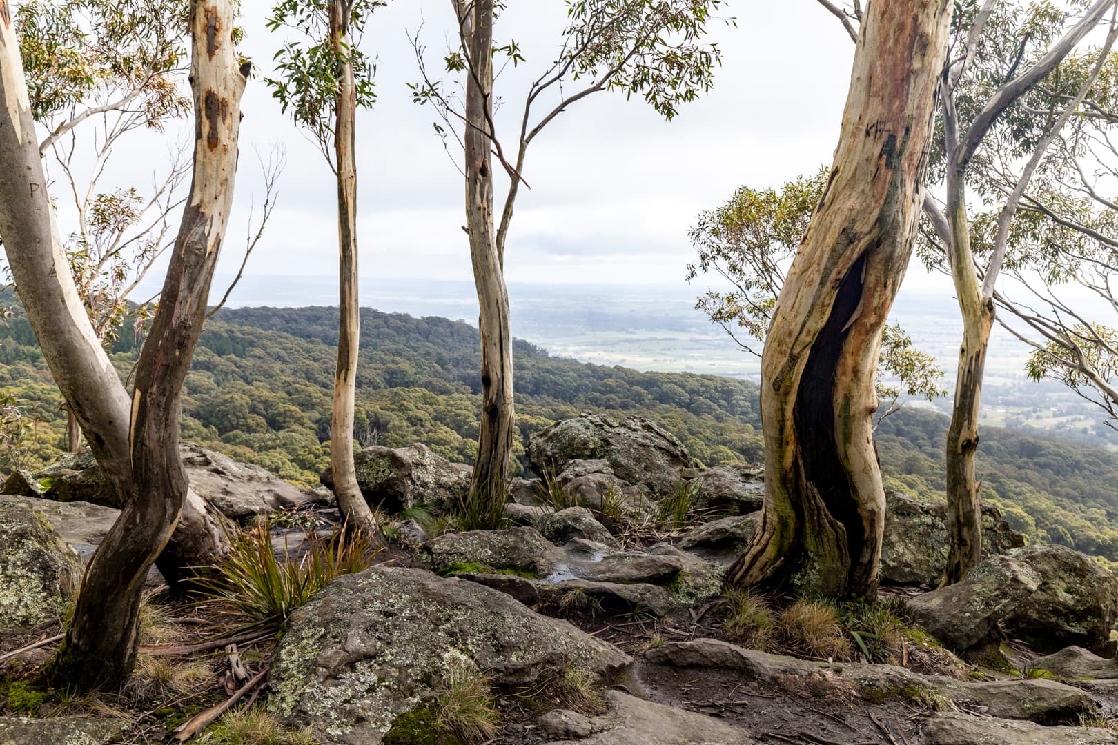 Loddon Mallee region