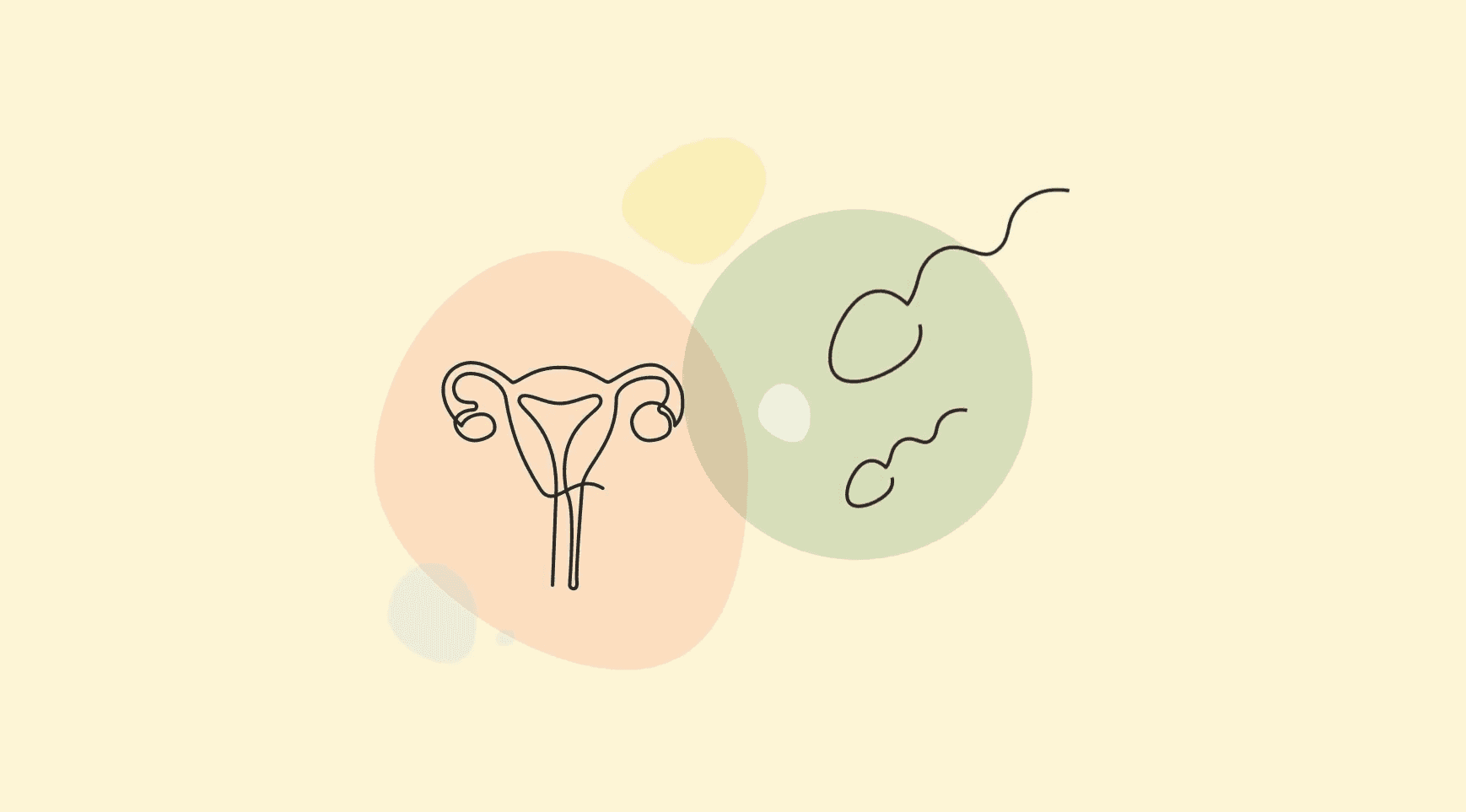 black line drawing illustration of a woman's uterus and separate black line drawing of sperm