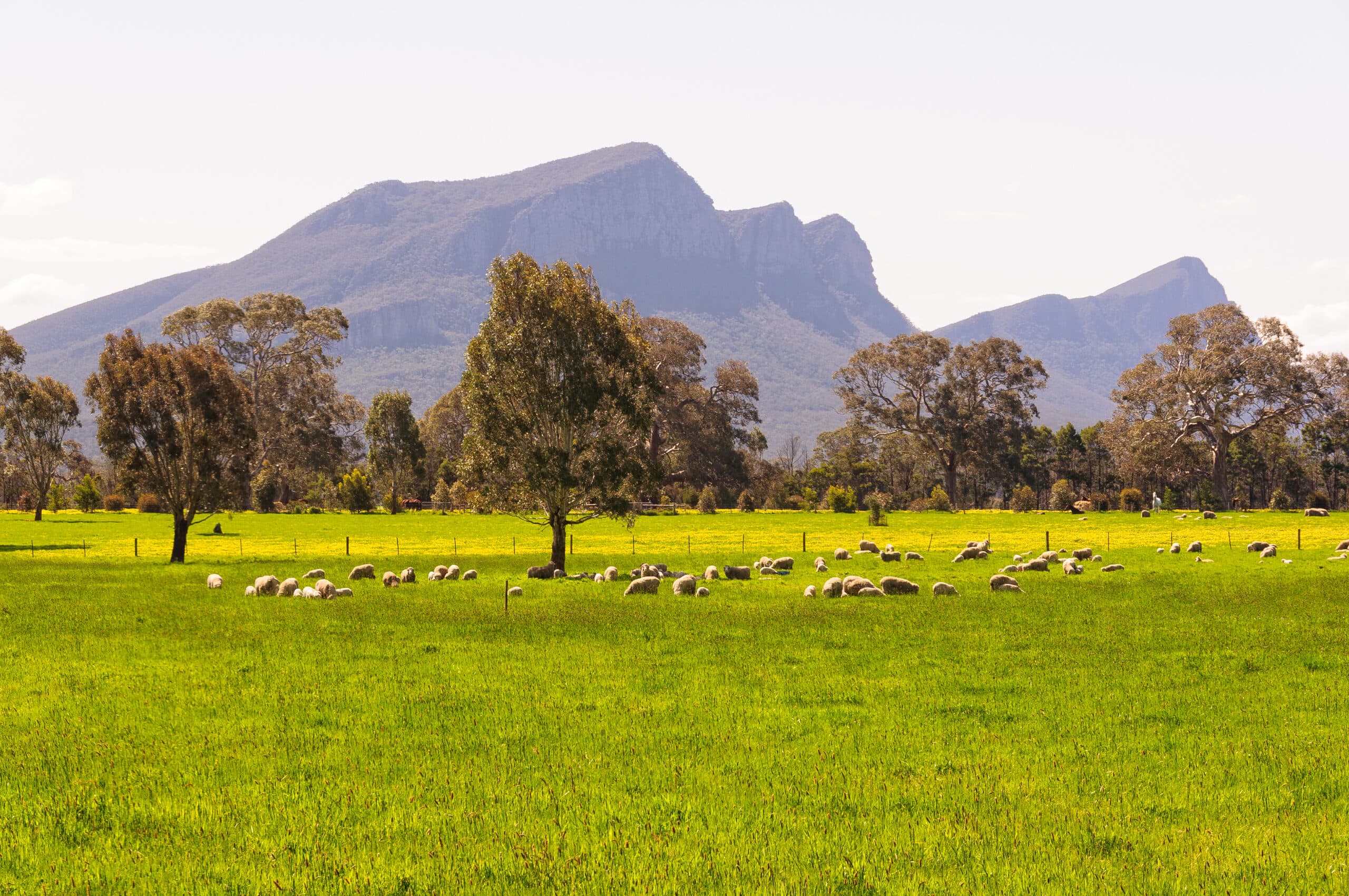 The Grampians Ranges, Victoria