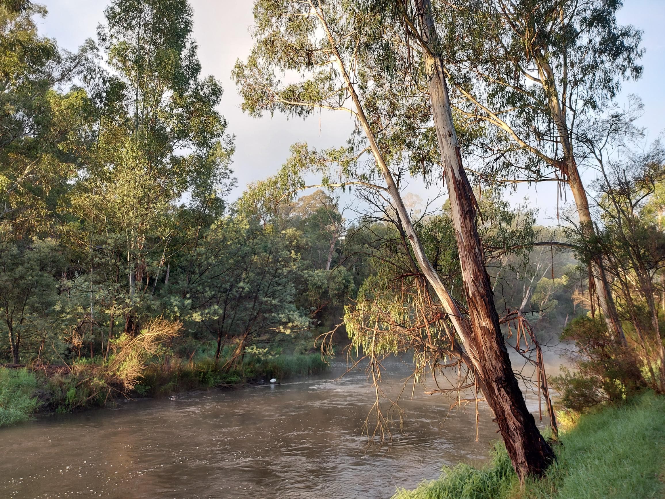 Yarra River, North Eastern Melbourne